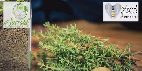 Thyme Herbal Workshop
