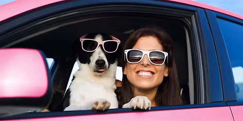 Spring Fling: Pet Paw-Parade and Classic Car Show