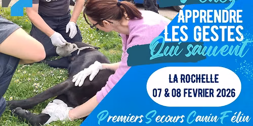Formation aux Premiers Secours pour Chien et Chat \u00e0 LA ROCHELLE