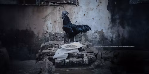 Djonga in Florian\u00f3polis