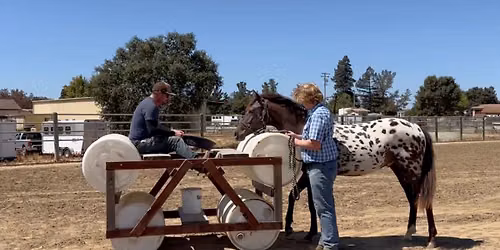 Horsemanship Over Obstacles