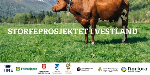 BondeBonanza i Bergen