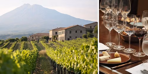 Sicily Wine Tasting: Forged by Fire