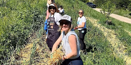 Volunteer Farm Day