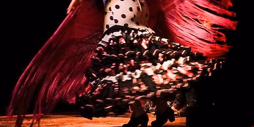 Show en el Tablao Flamenco 1911 + 1 Bebida de Bienvenida - Madrid