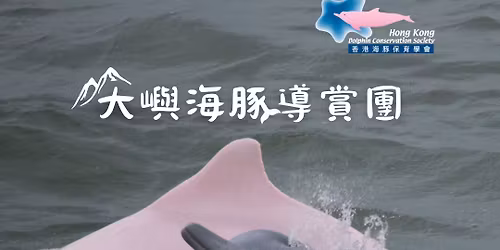 \u5927\u5dbc\u6d77\u8c5a\u5c0e\u8cde\u5718 (22\/11) Lantau Dolphin Guided Tour