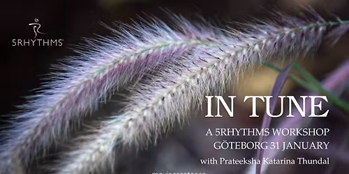IN TUNE - 5Rhythms\u00ae Workshop G\u00f6teborg