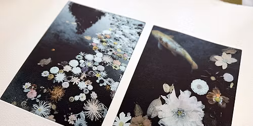 Photopolymer Etching Weekend with Bev Hayes