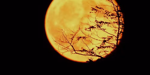 Moon Gathering for June Lunar Cycle