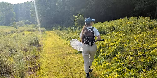Insect Pollinator Walks at Rock Point