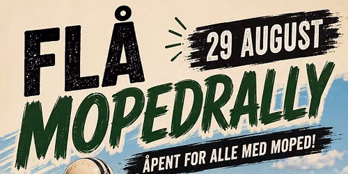 Fl\u00e5 mopedrally 