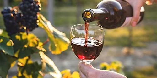Wine Tasting - Tuscany