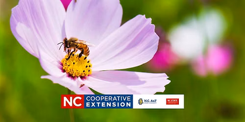 Beginning Beekeeping Course - Establishing Colonies\/Basic Hive - Week 6