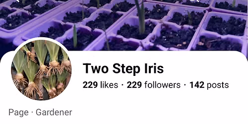 Introducing....Two Step Iris!