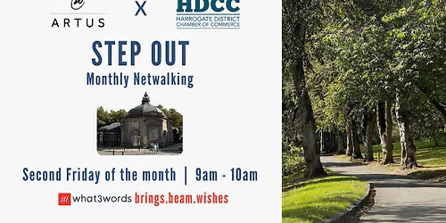 Step Out: Monthly Business Netwalking in Harrogate