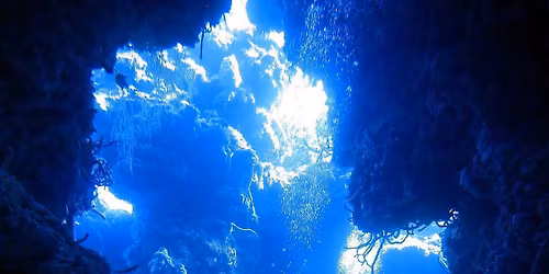 Bluwave Divers Dive Club Party