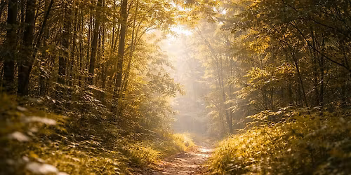 Listen: Silent Nature Walk at Mead Gardens