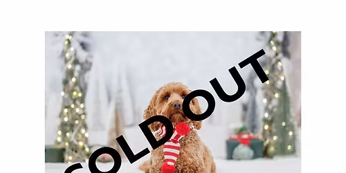 Santa Paws at Craigtoun