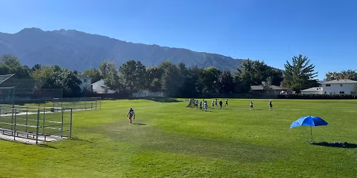 Full Field Pickup 10AM @ Wildflower Park in Sandy