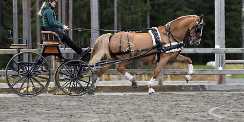 Kj\u00f8re\/t\u00f8mmekj\u00f8ringskurs med Kristine S. Sund
