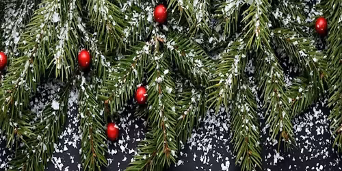 Christmas Eve with Roger Styles