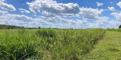 Welcome to Summer! Nature Discovery Walk