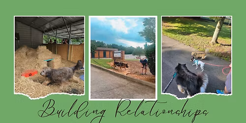 Workshops with Michele Ellertson