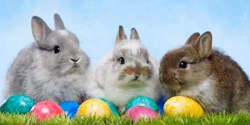 Annual Easter Egg Hunt