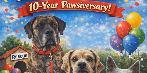 Decade of Dogs, love and second chances