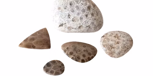 Lapidary Class-Polishing Stones and Making Cabochons