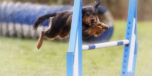 Indoor Distance handling Skills workshop with Emma Morton