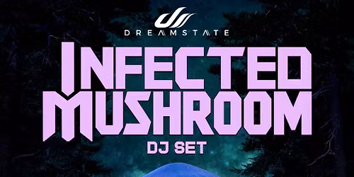 Infected Mushroom - DJ Set