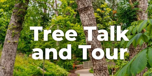 Tree Talk & Tour