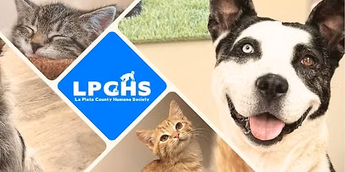 Adopt-a-Thon 2026
