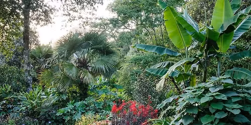Right Plant, Right Place