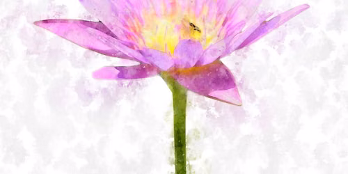 Meditation & Dharma Talk with Dennis Warren - Hybrid event