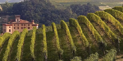 Barolo - "Kongen af italiensk vin"