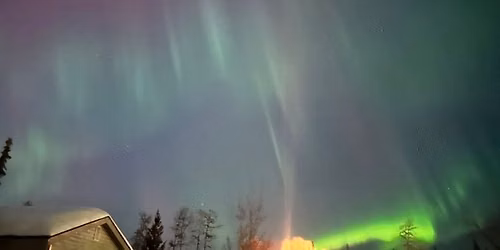 The Heavens Declare Homeschool Bible Study