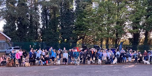 Taylor Vets Brackley Community Dog Walk