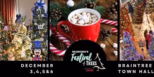 Braintree's Festival of Trees