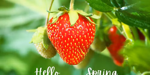 Hanging Basket Fundraiser