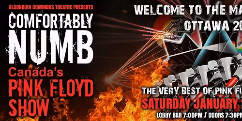 Parking Comfortably Numb - Canada's Pink Floyd Show