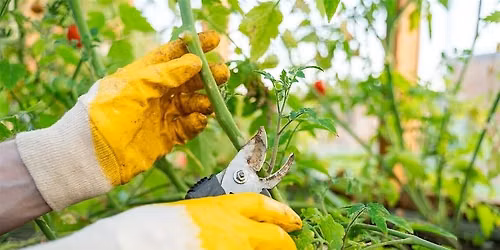 Green Thumbs Gathering