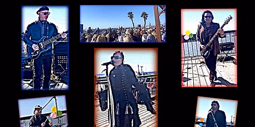 Cocktail Monkeys ROCK~THE~DOCK!!!!