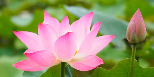 Mindfulness Meditation