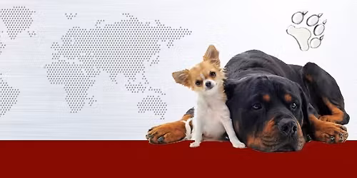 Hundeausstellung - Heimtiermesse N\u00fcrnberg