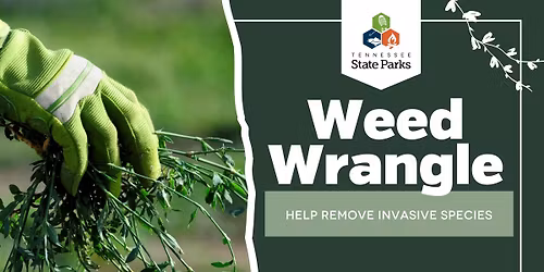 W**d Wrangle at Cedars of Lebanon State Park 