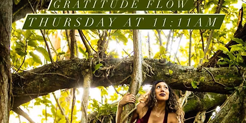 Thanksgiving Gratitude Yoga Flow in the park!