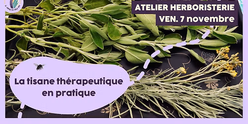 Atelier herboristerie : La tisane th\u00e9rapeutique en pratique