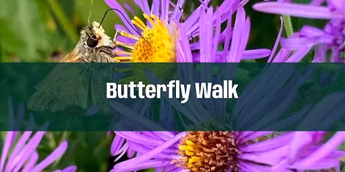 Butterfly Walk